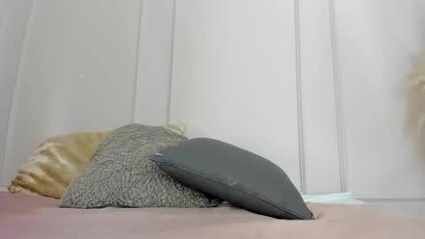 Maria Pettit online show from April 22, 2026, 11:56 am