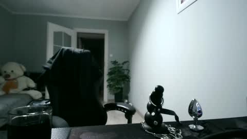 maribor5879 online show from January 31, 2025, 2:04 am