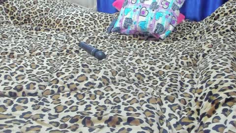 Snapshot of marie_marie03 chatting on January 23, 2025, 1:56 pm Marie online show from January 23, 2025, 1:56 pm