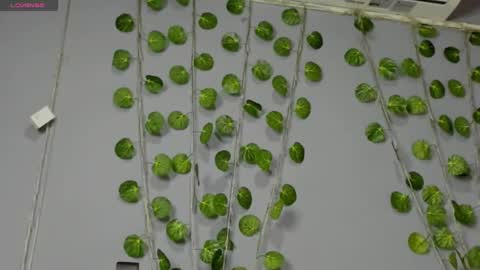 marly online show from February 28, 2025, 2:42 am