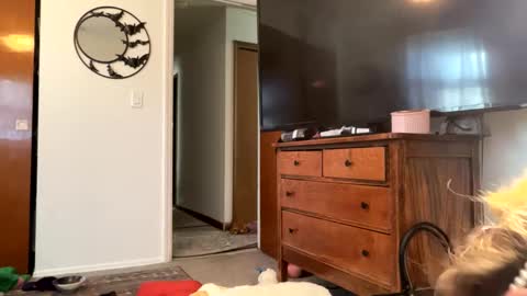 maroon_moon online show from February 14, 2025, 4:09 pm