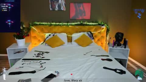 Mary GTM3Mon Wed Thu Sat Sun 0400 am-1030pm online show from December 26, 2024, 1:07 am