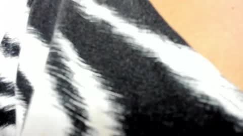 Marylin online show from March 1, 2025, 7:48 pm