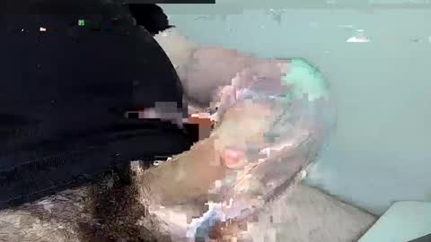 mas12345678910 online show from December 1, 2024, 4:29 pm