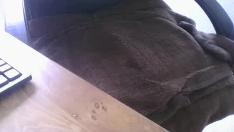 Snapshot of maskime59 chatting on February 21, 2026, 1:45 pm maskime59 online show from February 21, 2026, 1:45 pm