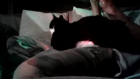 mastrdebator online show from November 5, 2025, 9:59 pm