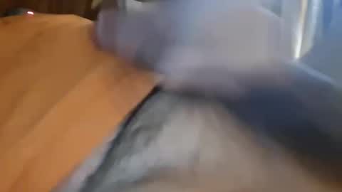 masturbator469658 online show from January 13, 2026, 5:29 pm