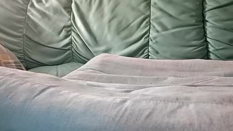 mathisdavid6757 online show from November 9, 2025, 8:56 am