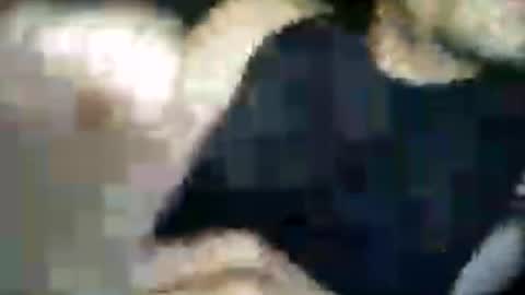 matiasva73 online show from July 7, 2026, 9:57 am