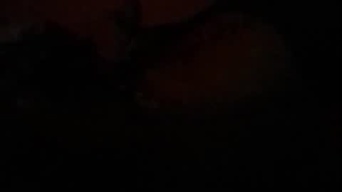 Snapshot of mau_lira chatting on February 23, 2026, 7:39 am Lira online show from February 23, 2026, 7:39 am