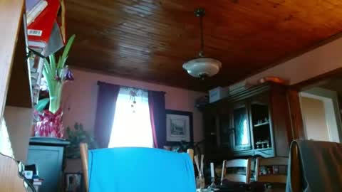 Maurice online show from January 15, 2025, 12:47 pm