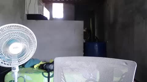 Mcgregor online show from December 27, 2024, 5:16 pm