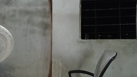 Mcgregor online show from December 31, 2024, 2:51 am