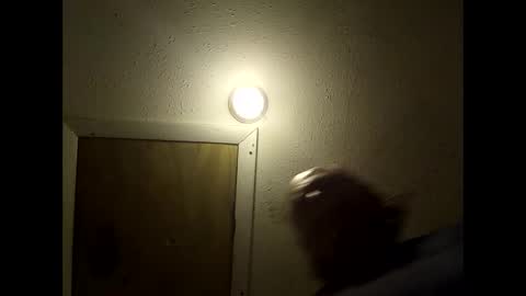 meaderd740870 online show from February 14, 2026, 3:25 am