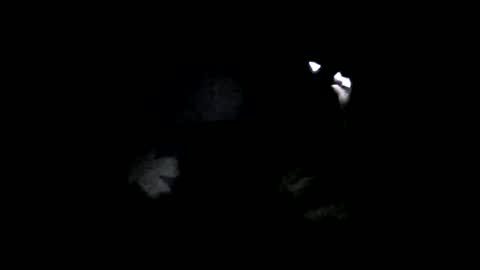 Oltereodora-lima online show from February 6, 2025, 7:07 pm