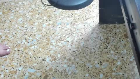 Megan online show from February 1, 2025, 6:00 am