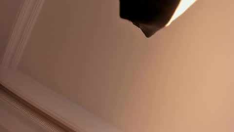     online show from February 1, 2025, 5:58 pm