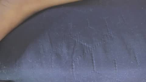 Snapshot of megan_rous2 chatting on February 2, 2025, 3:10 am megan online show from February 2, 2025, 3:10 am