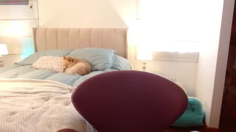 MEGAN online show from January 2, 2025, 8:35 pm