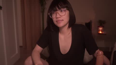 Snapshot of meganmei666 chatting on December 31, 2024, 2:40 am for more 3 online show from December 31, 2024, 2:40 am