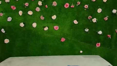 megatitts_ online show from February 3, 2026, 6:22 am