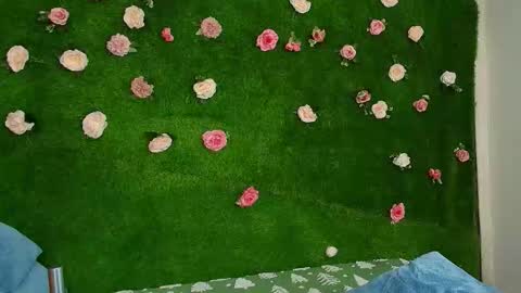 megatitts_ online show from February 22, 2026, 6:46 am