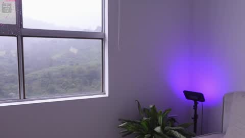 meiis3 online show from January 9, 2025, 9:05 pm