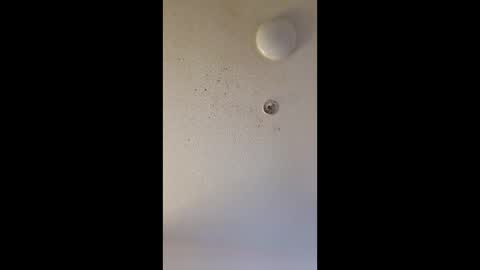 Snapshot of mel_hart_jr chatting on March 25, 2026, 7:47 am mel_hart_jr online show from March 25, 2026, 7:47 am