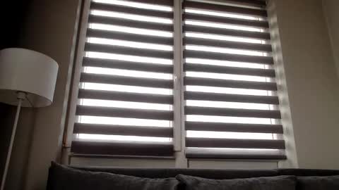 Melania online show from December 31, 2024, 11:53 am