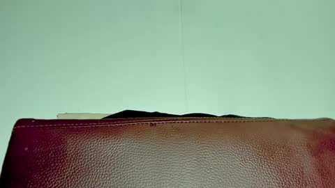 Melania online show from November 6, 2025, 3:51 am