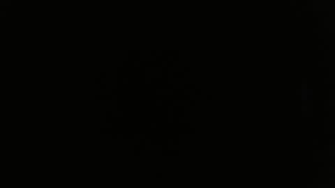 Melani online show from February 20, 2025, 10:48 am