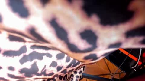 Melannie Ross online show from April 21, 2026, 12:00 pm