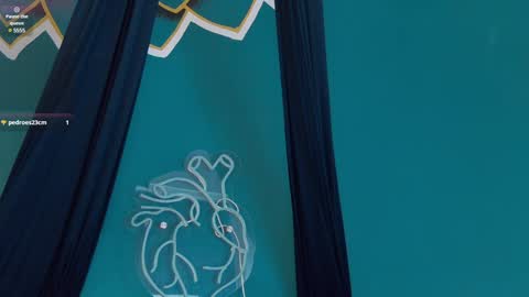 Melany online show from January 22, 2025, 2:56 pm