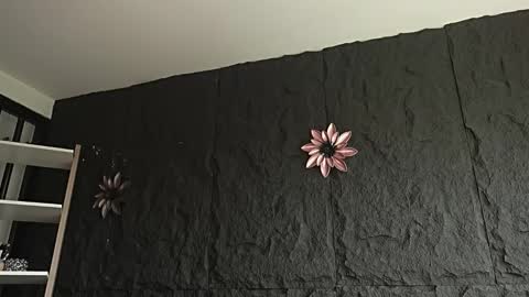 Melissa online show from February 12, 2026, 12:44 pm