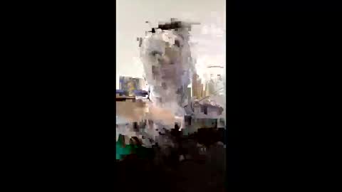 melissaknowles46 online show from February 1, 2026, 12:59 pm