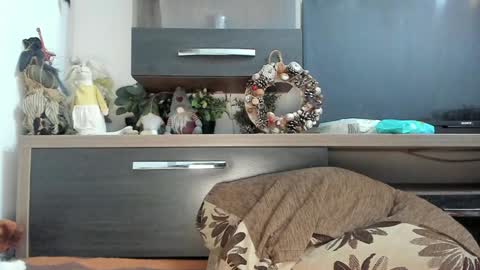 Snapshot of mellbell_ chatting on January 8, 2025, 10:58 pm MellyMell online show from January 8, 2025, 10:58 pm