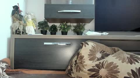 Snapshot of mellbell_ chatting on January 30, 2025, 11:02 pm MellyMell online show from January 30, 2025, 11:02 pm