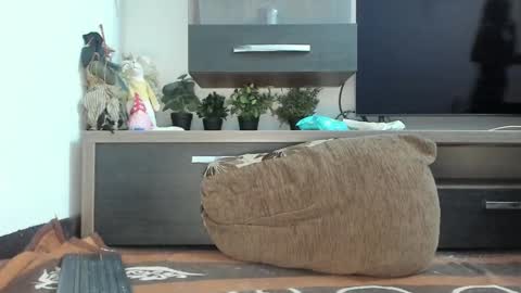 Snapshot of mellbell_ chatting on February 10, 2025, 11:02 pm MellyMell online show from February 10, 2025, 11:02 pm