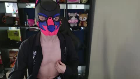 MellPUP online show from April 1, 2026, 4:26 pm