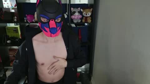 MellPUP online show from April 2, 2026, 5:21 pm
