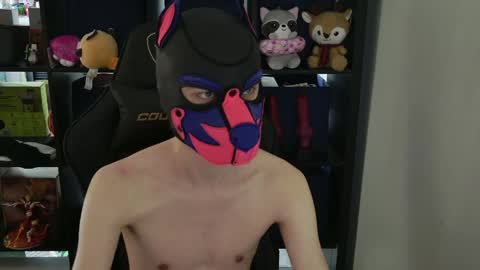 MellPUP online show from April 9, 2026, 9:31 pm