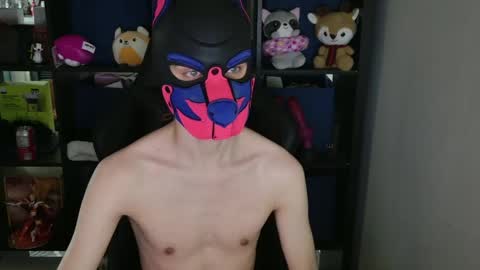 MellPUP online show from April 15, 2026, 12:06 am