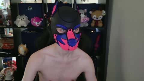 MellPUP online show from April 29, 2026, 6:36 pm