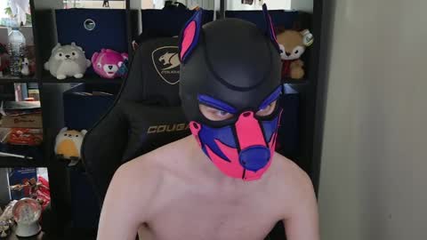 MellPUP online show from April 30, 2026, 6:03 pm
