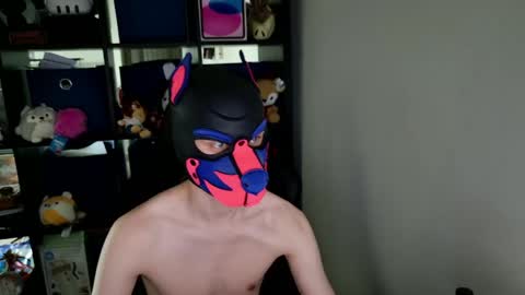 MellPUP online show from May 26, 2026, 3:41 pm