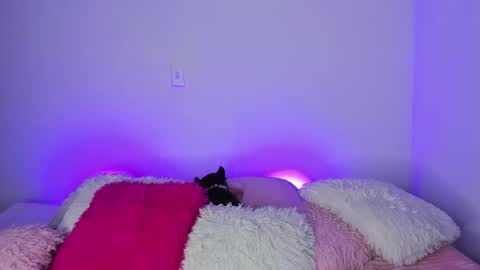    online show from January 31, 2025, 4:36 am