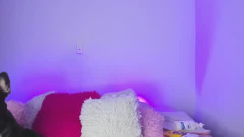    online show from February 9, 2025, 1:44 am