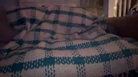 melt13 online show from September 9, 2025, 9:20 am