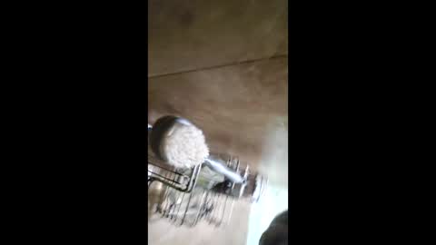 men_seeker online show from February 12, 2026, 12:49 am