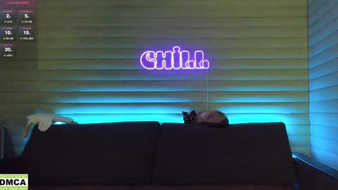  NIKKY  STIVE     Every day from 1000  to 200  EST time. online show from January 6, 2025, 5:08 am